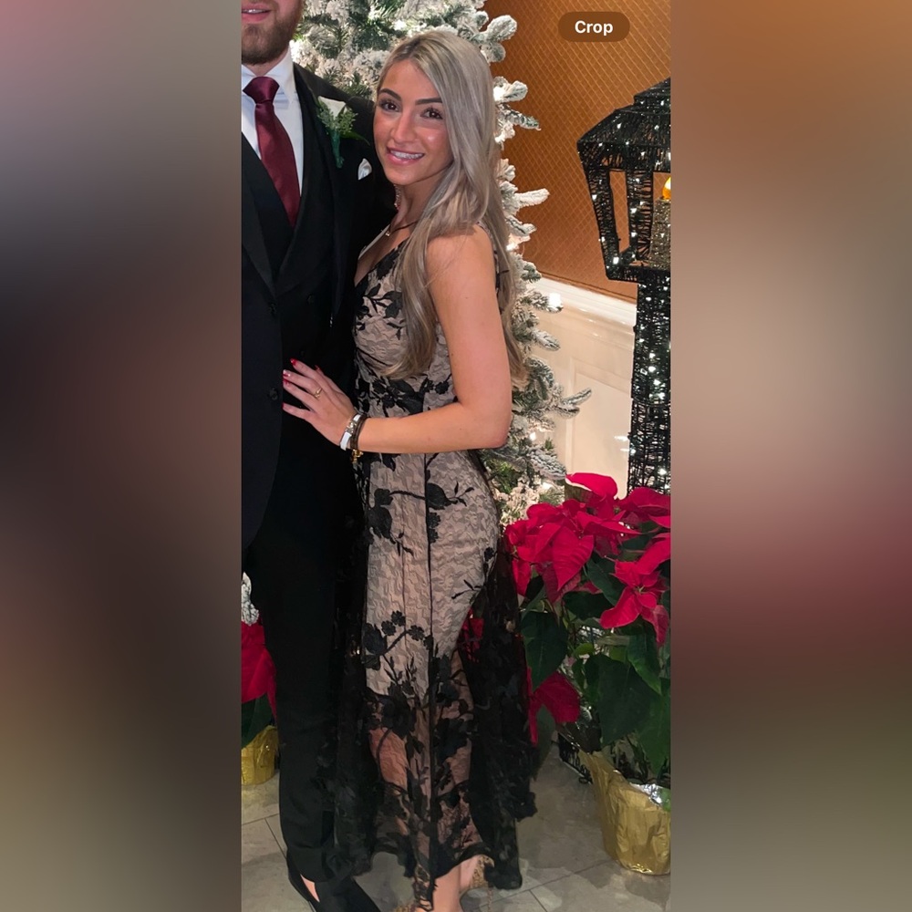 Dress the Population Sidney Sheer lace Gown
